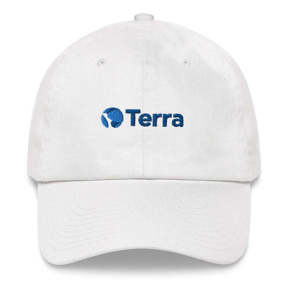Terra Money Hat